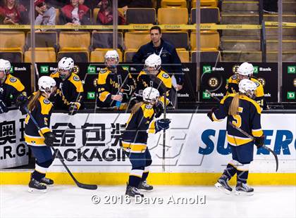 Thumbnail 2 in Wellesley vs Notre Dame Academy (MIAA Division 2 Final) photogallery.