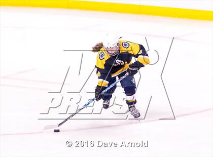 Thumbnail 3 in Wellesley vs Notre Dame Academy (MIAA Division 2 Final) photogallery.