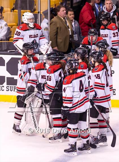 Thumbnail 3 in Wellesley vs Notre Dame Academy (MIAA Division 2 Final) photogallery.