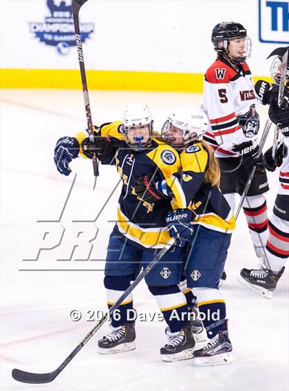 Thumbnail 2 in Wellesley vs Notre Dame Academy (MIAA Division 2 Final) photogallery.