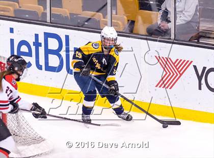 Thumbnail 1 in Wellesley vs Notre Dame Academy (MIAA Division 2 Final) photogallery.