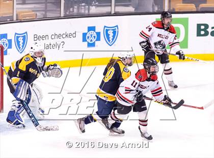 Thumbnail 3 in Wellesley vs Notre Dame Academy (MIAA Division 2 Final) photogallery.