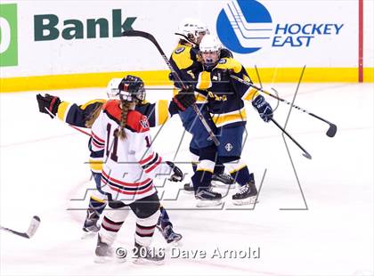 Thumbnail 2 in Wellesley vs Notre Dame Academy (MIAA Division 2 Final) photogallery.