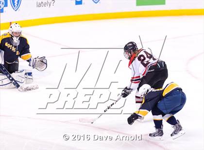 Thumbnail 3 in Wellesley vs Notre Dame Academy (MIAA Division 2 Final) photogallery.