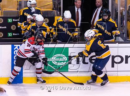 Thumbnail 3 in Wellesley vs Notre Dame Academy (MIAA Division 2 Final) photogallery.