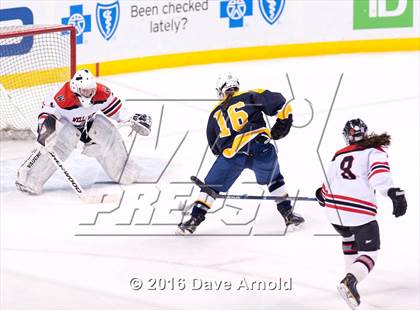 Thumbnail 1 in Wellesley vs Notre Dame Academy (MIAA Division 2 Final) photogallery.