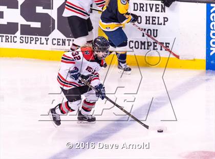 Thumbnail 1 in Wellesley vs Notre Dame Academy (MIAA Division 2 Final) photogallery.