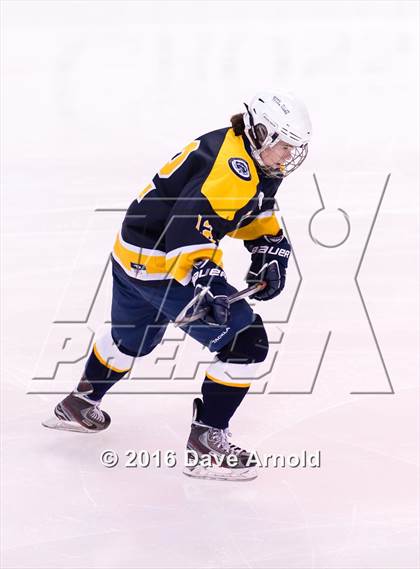 Thumbnail 2 in Wellesley vs Notre Dame Academy (MIAA Division 2 Final) photogallery.