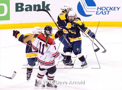 Thumbnail 1 in Wellesley vs Notre Dame Academy (MIAA Division 2 Final) photogallery.