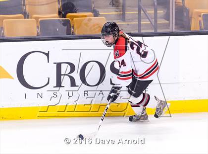 Thumbnail 1 in Wellesley vs Notre Dame Academy (MIAA Division 2 Final) photogallery.