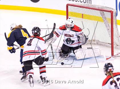Thumbnail 2 in Wellesley vs Notre Dame Academy (MIAA Division 2 Final) photogallery.