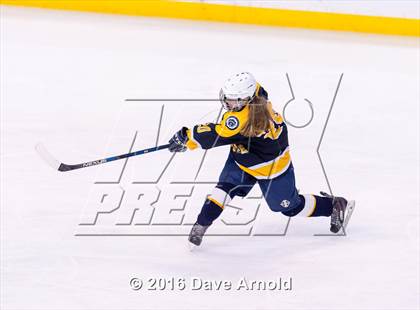 Thumbnail 1 in Wellesley vs Notre Dame Academy (MIAA Division 2 Final) photogallery.
