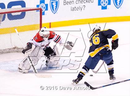 Thumbnail 2 in Wellesley vs Notre Dame Academy (MIAA Division 2 Final) photogallery.