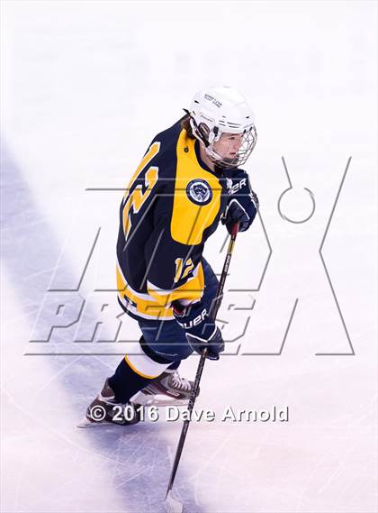 Thumbnail 1 in Wellesley vs Notre Dame Academy (MIAA Division 2 Final) photogallery.