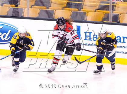 Thumbnail 1 in Wellesley vs Notre Dame Academy (MIAA Division 2 Final) photogallery.