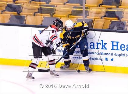 Thumbnail 1 in Wellesley vs Notre Dame Academy (MIAA Division 2 Final) photogallery.