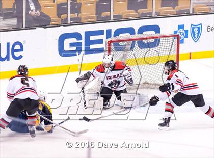Thumbnail 3 in Wellesley vs Notre Dame Academy (MIAA Division 2 Final) photogallery.