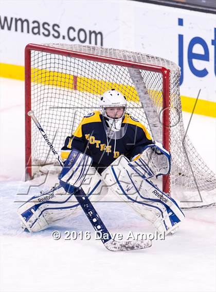 Thumbnail 3 in Wellesley vs Notre Dame Academy (MIAA Division 2 Final) photogallery.