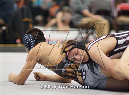Thumbnail 1 in CHSAA State Wrestling Championships (Day 2) photogallery.