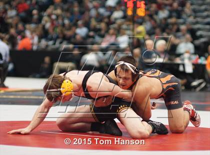 Thumbnail 1 in CHSAA State Wrestling Championships (Day 2) photogallery.