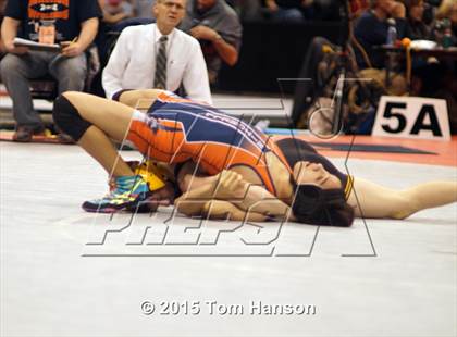 Thumbnail 3 in CHSAA State Wrestling Championships (Day 2) photogallery.