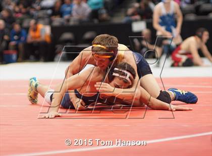 Thumbnail 2 in CHSAA State Wrestling Championships (Day 2) photogallery.