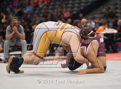 Thumbnail 2 in CHSAA State Wrestling Championships (Day 2) photogallery.