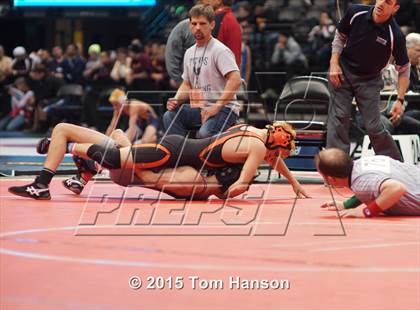 Thumbnail 2 in CHSAA State Wrestling Championships (Day 2) photogallery.