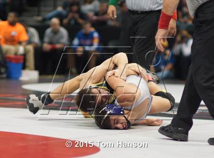 Thumbnail 2 in CHSAA State Wrestling Championships (Day 2) photogallery.