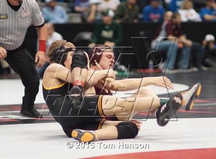 Thumbnail 2 in CHSAA State Wrestling Championships (Day 2) photogallery.