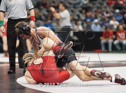 Thumbnail 2 in CHSAA State Wrestling Championships (Day 2) photogallery.
