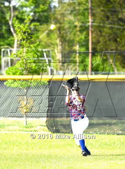 Thumbnail 2 in Polk County @ Hixson photogallery.