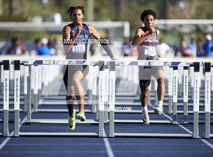 Thumbnail 2 in Bob Hayes Invitational (100m Hurdles) photogallery.