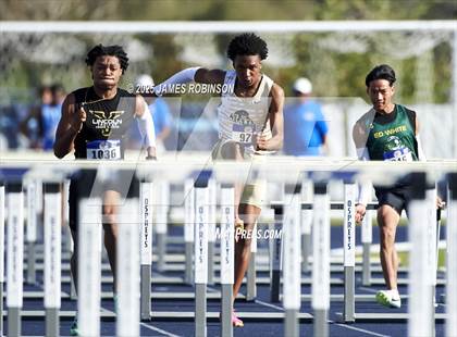 Thumbnail 2 in Bob Hayes Invitational (100m Hurdles) photogallery.