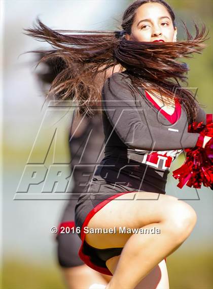 Thumbnail 3 in South Gate @ Arleta photogallery.