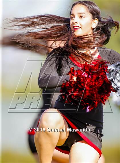 Thumbnail 1 in South Gate @ Arleta photogallery.