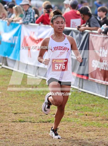 Thumbnail 2 in CIF Central Section Cross Country Championships (Girls D3 Race) photogallery.