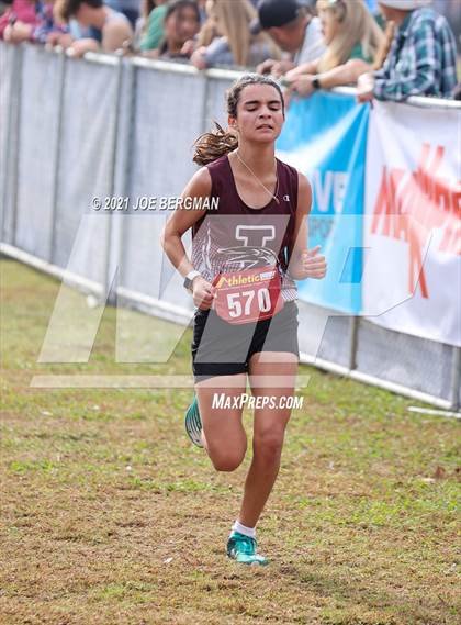 Thumbnail 1 in CIF Central Section Cross Country Championships (Girls D3 Race) photogallery.