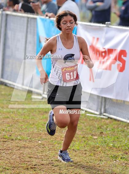 Thumbnail 3 in CIF Central Section Cross Country Championships (Girls D3 Race) photogallery.