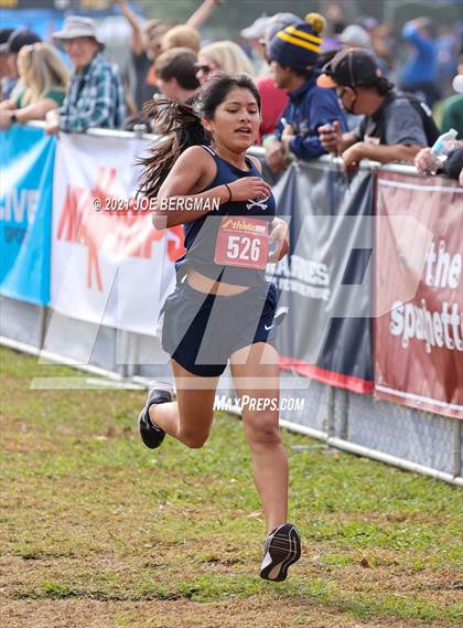 Thumbnail 2 in CIF Central Section Cross Country Championships (Girls D3 Race) photogallery.
