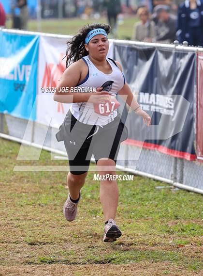 Thumbnail 3 in CIF Central Section Cross Country Championships (Girls D3 Race) photogallery.