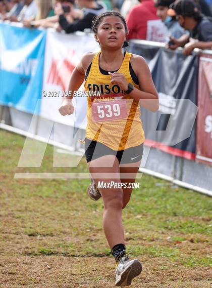 Thumbnail 1 in CIF Central Section Cross Country Championships (Girls D3 Race) photogallery.