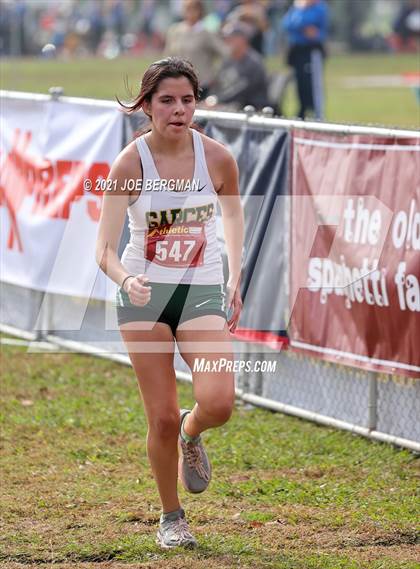 Thumbnail 1 in CIF Central Section Cross Country Championships (Girls D3 Race) photogallery.