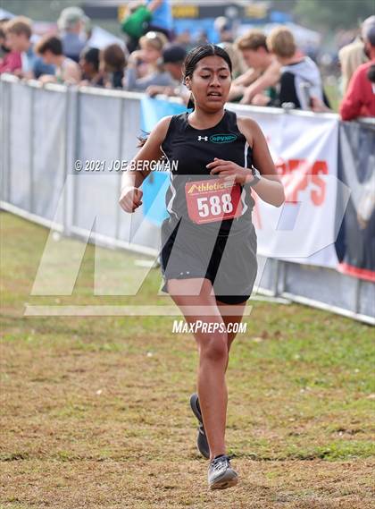 Thumbnail 3 in CIF Central Section Cross Country Championships (Girls D3 Race) photogallery.