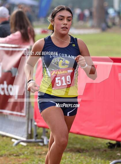 Thumbnail 2 in CIF Central Section Cross Country Championships (Girls D3 Race) photogallery.