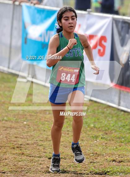 Thumbnail 1 in CIF Central Section Cross Country Championships (Girls D3 Race) photogallery.