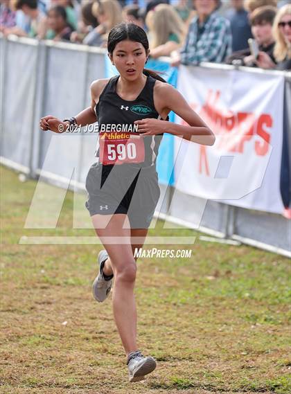 Thumbnail 3 in CIF Central Section Cross Country Championships (Girls D3 Race) photogallery.