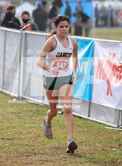 Thumbnail 3 in CIF Central Section Cross Country Championships (Girls D3 Race) photogallery.