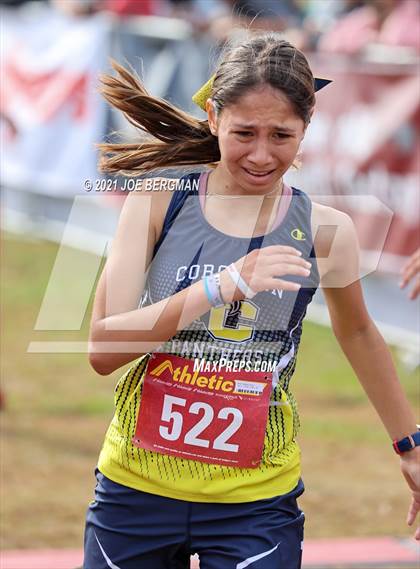 Thumbnail 2 in CIF Central Section Cross Country Championships (Girls D3 Race) photogallery.