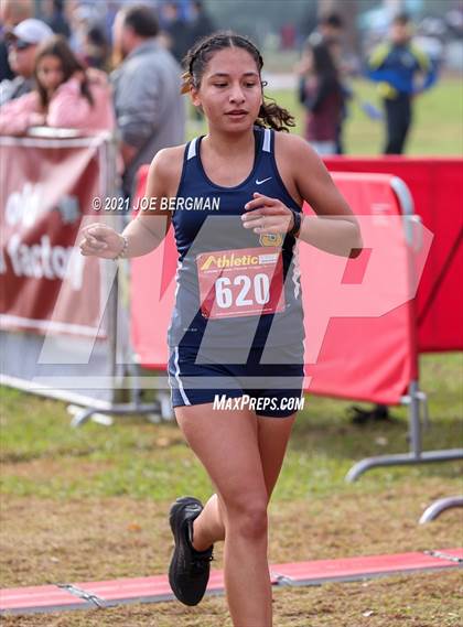 Thumbnail 1 in CIF Central Section Cross Country Championships (Girls D3 Race) photogallery.